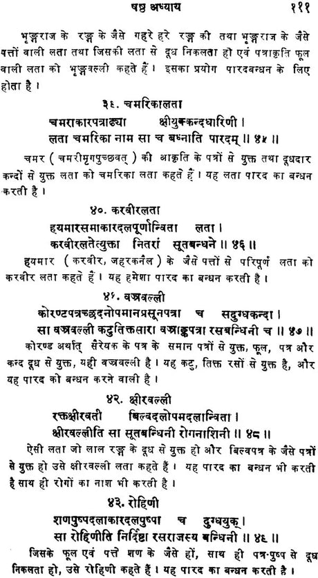 रसेन्द्रचूड़ामणि ("सिध्दि प्रदा"- हिन्दी व्याख्या सहित)- Rasendra Chudamani - Retail Maharaj