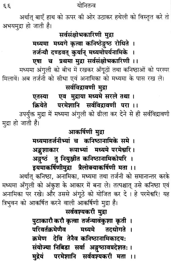 Yoni Tantram [Hindi Tika Sahit] - Retail Maharaj