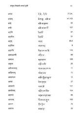 Meghaduta (Critical Edition with Sanskrit and Tibetan Index) - Retail Maharaj
