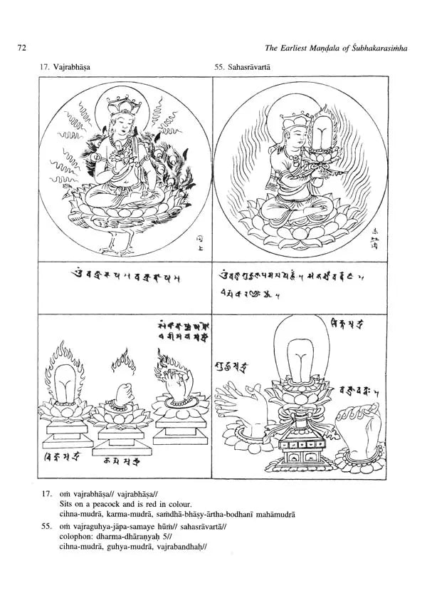 The Earliest Mandala of Subhakarasimha (637-735 CE) - Retail Maharaj