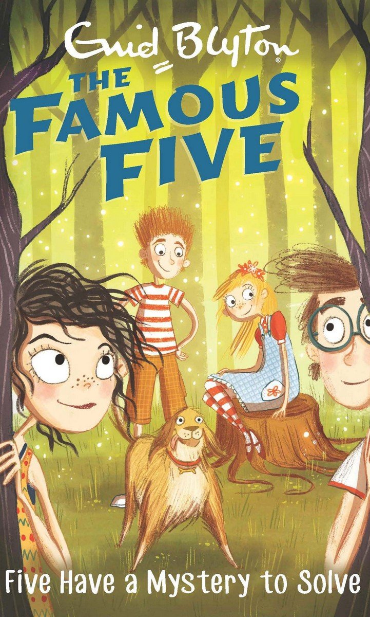 FAMOUS FIVE:20: FIVE HAVE A MYSTERY TO SOLVE - Retail Maharaj