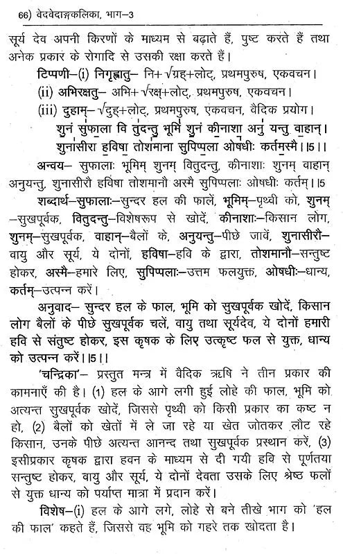 वेदवेदाङ्गकलिका- Veda Vedanga Kalika (Part-3) - Retail Maharaj