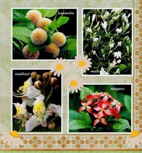 The Flower Garden of Radha-Damodara - Retail Maharaj