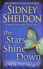 The Stars Shine Down - Retail Maharaj
