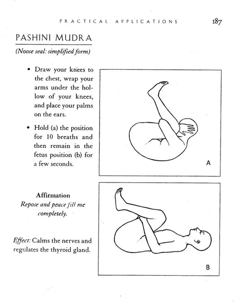 Mudras: Yoga in Your Hands (Alternative Medicine Series) - Retail Maharaj