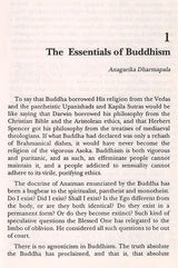 A Panorama of Indian Buddhism: Selections from the Maha Bodhi Journal (1892-1992) (Bibliotheca Indo-buddhica) - Retail Maharaj