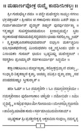 ರುದ್ರಯಜನಮ್: Rudrayajanam (Kannada)