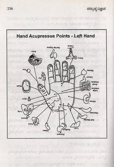 Parabrahma Vijnana- Unique Spiritual Science in Kannada - Retail Maharaj