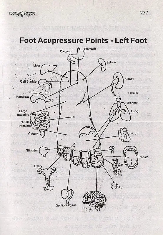 Parabrahma Vijnana- Unique Spiritual Science in Kannada - Retail Maharaj