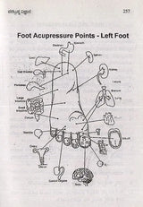 Parabrahma Vijnana- Unique Spiritual Science in Kannada - Retail Maharaj