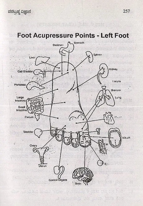 Parabrahma Vijnana- Unique Spiritual Science in Kannada - Retail Maharaj