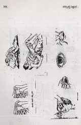 Parabrahma Vijnana- Unique Spiritual Science in Kannada - Retail Maharaj