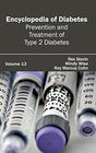 DIABETES: VOLUME 13 (PREVENTION AND TREATMENT OF TYPE 2 DIABETES) - Retail Maharaj