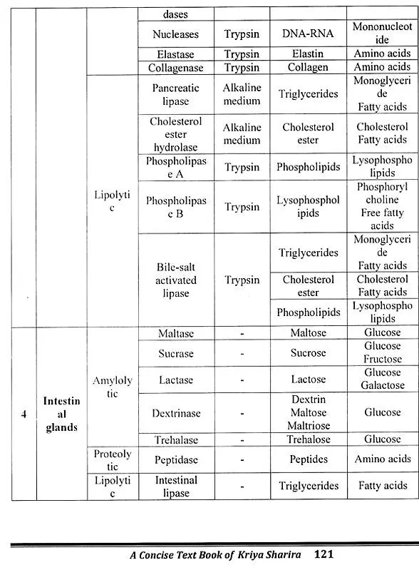 Concise Text Book of Kriya Sharira (Physiology) Vol.1- (As per Latest NCISM Curriculum) - Retail Maharaj