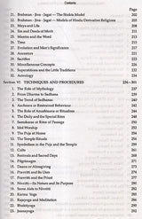 Hindu Civilization and the Twenty-First Century (An Old and Rare Book) - Retail Maharaj