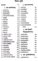 शाक्तप्रमोद- दश महाविद्या : शक्ति तन्त्र साधना: Shaktapramod- Ten Mahavidya: Shakti Tantra Sadhana - Retail Maharaj