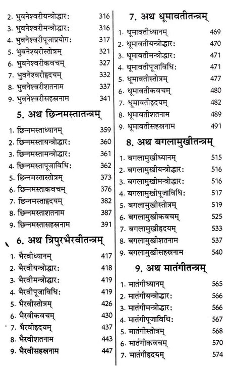 शाक्तप्रमोद- दश महाविद्या : शक्ति तन्त्र साधना: Shaktapramod- Ten Mahavidya: Shakti Tantra Sadhana - Retail Maharaj