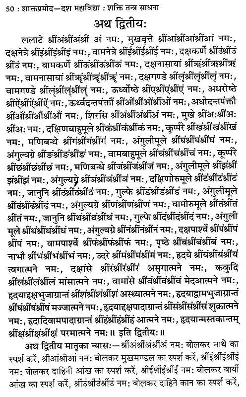 शाक्तप्रमोद- दश महाविद्या : शक्ति तन्त्र साधना: Shaktapramod- Ten Mahavidya: Shakti Tantra Sadhana - Retail Maharaj