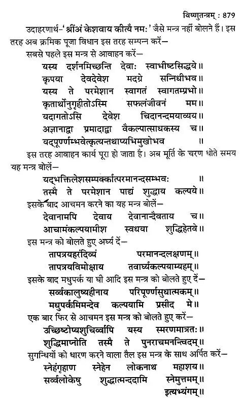 शाक्तप्रमोद- दश महाविद्या : शक्ति तन्त्र साधना: Shaktapramod- Ten Mahavidya: Shakti Tantra Sadhana - Retail Maharaj