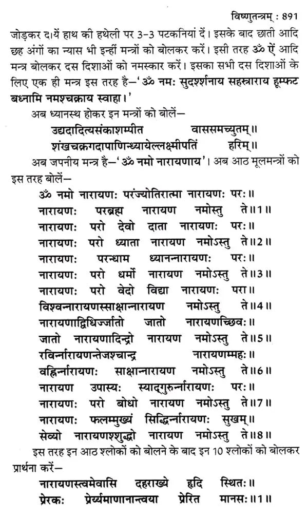 शाक्तप्रमोद- दश महाविद्या : शक्ति तन्त्र साधना: Shaktapramod- Ten Mahavidya: Shakti Tantra Sadhana - Retail Maharaj