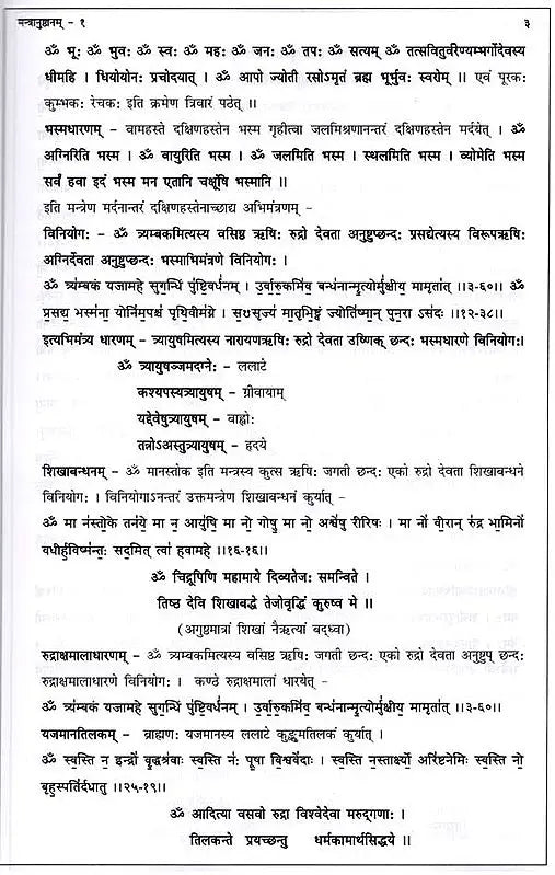 मन्त्रानुष्ठानम् (रोगादिशमनार्थम्) भाग-1: Mantra Practice (For the Relief of Diseases and Others) Part-1 - Retail Maharaj