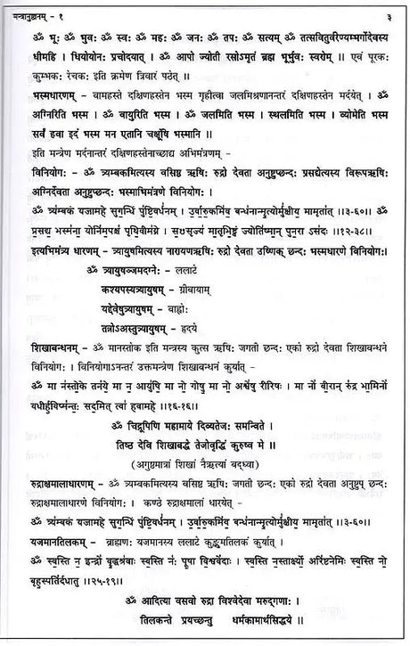 मन्त्रानुष्ठानम् (रोगादिशमनार्थम्) भाग-1: Mantra Practice (For the Relief of Diseases and Others) Part-1 - Retail Maharaj