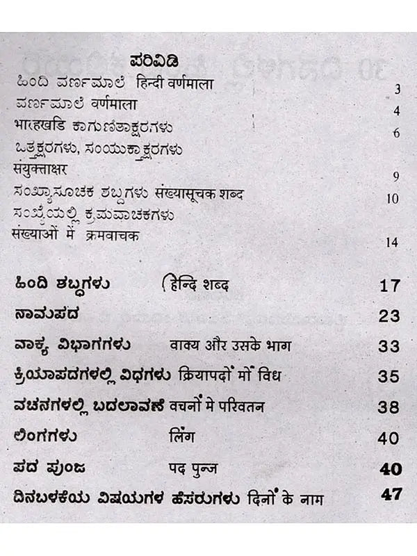 30 ದಿನಗಳಲ್ಲಿ ಹಿಂದಿ ಕಲಿಯಿರಿ: Learn Hindi in 30 Days (Kannada) - Retail Maharaj