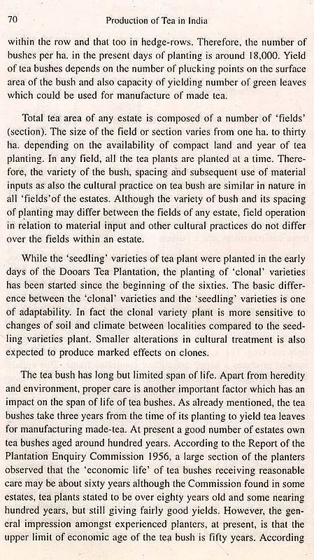 Production of Tea in India (With Special Reference to Dooars) - Retail Maharaj