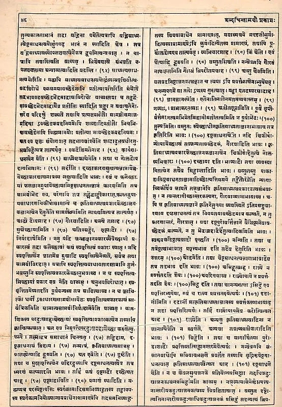 Sabdacintamani-Prakasa- A Gloss by Rucidatta Misra on the Sabdakhanda of Gangesa's Tattvacintamani (An Old and Rare Book) - Retail Maharaj