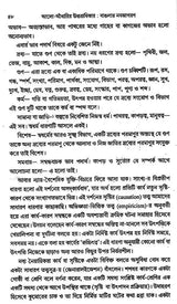 The Legacy of Light and Darkness: The Renaissance of Bengal (Bengali)
