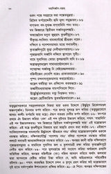 Mahanirvana-Tantra: Containing the Mantras of All Gods-Shiva-Pradipikas (Bengali) - Retail Maharaj
