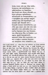 Mahanirvana-Tantra: Containing the Mantras of All Gods-Shiva-Pradipikas (Bengali) - Retail Maharaj