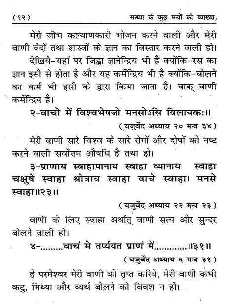 सन्ध्या के दो मंत्रों की व्याख्या: Sandhya Ke Kuch Mantron Ki Vyakheya - Retail Maharaj