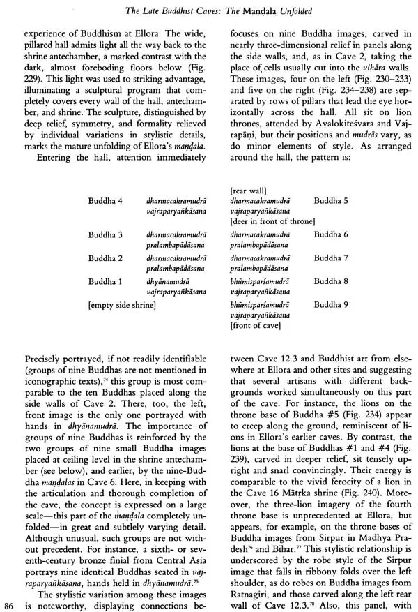 Unfolding a Mandala: The Buddhist Cave Temples at Ellora - Retail Maharaj