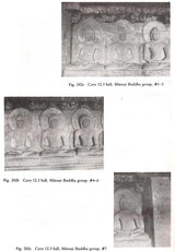 Unfolding a Mandala: The Buddhist Cave Temples at Ellora - Retail Maharaj