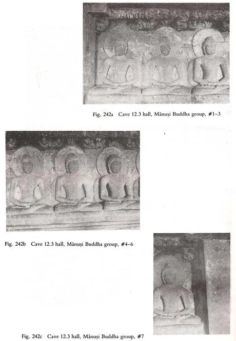Unfolding a Mandala: The Buddhist Cave Temples at Ellora - Retail Maharaj