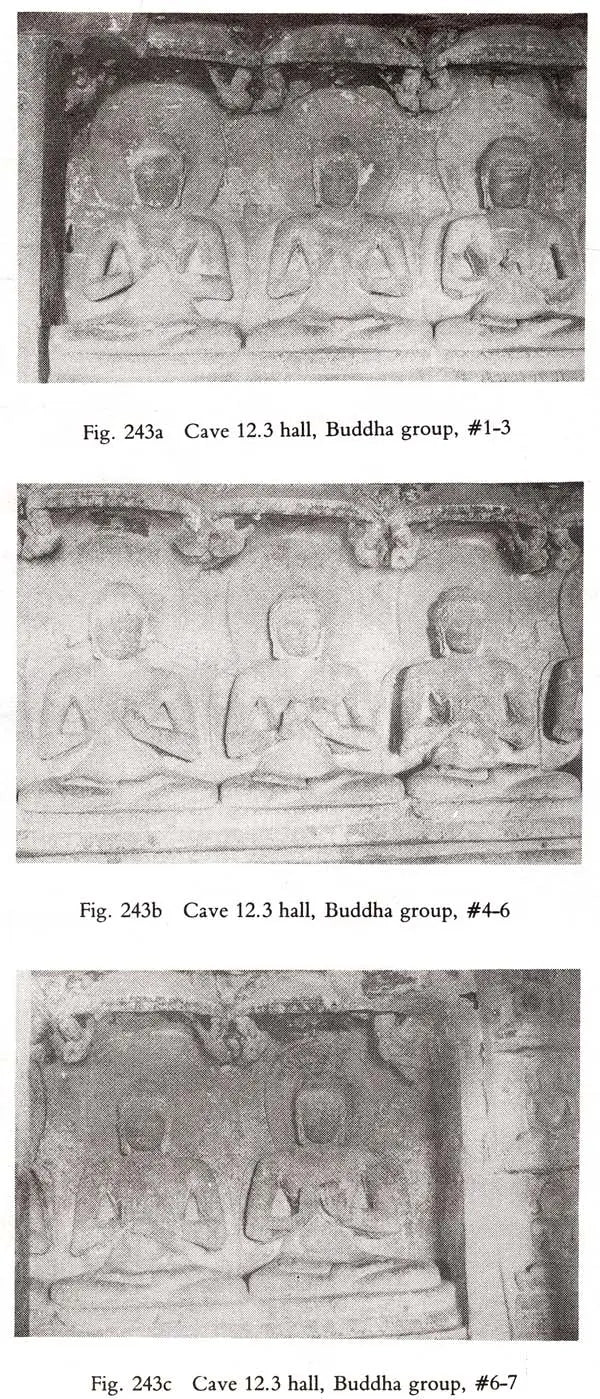 Unfolding a Mandala: The Buddhist Cave Temples at Ellora - Retail Maharaj