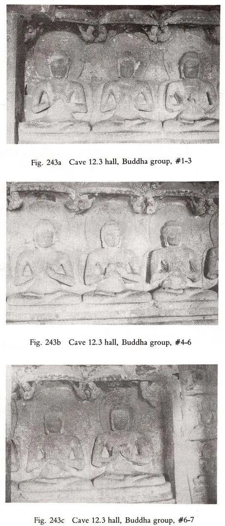 Unfolding a Mandala: The Buddhist Cave Temples at Ellora - Retail Maharaj