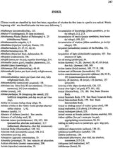 An Introduction To Buddhist Philosophy in India and Tibet - Retail Maharaj