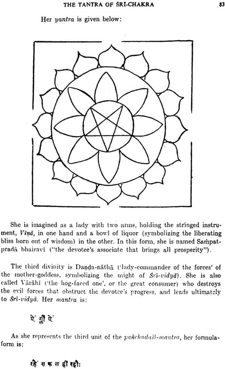 Sri-Chakra Its Yantra, Mantra and Tantra - Retail Maharaj