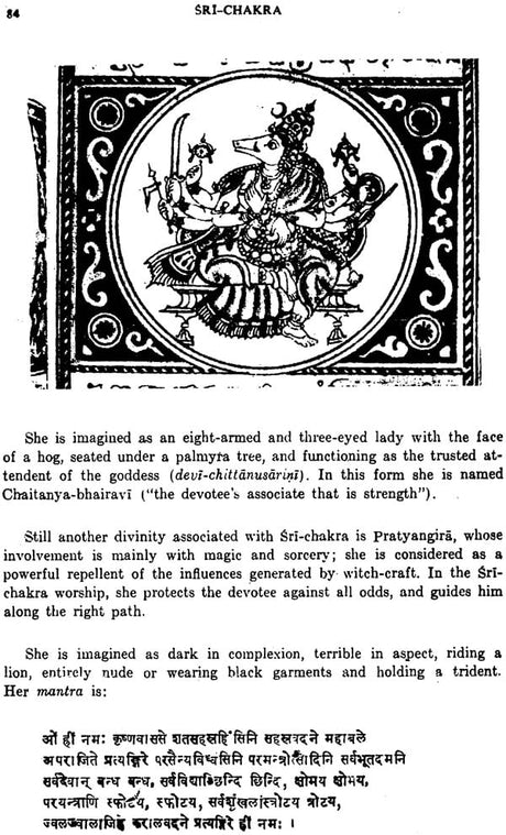 Sri-Chakra Its Yantra, Mantra and Tantra - Retail Maharaj