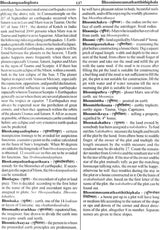 Encyclopaedia of Indian Astrology (In Two Volumes) - Retail Maharaj