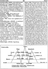 Encyclopaedia of Indian Astrology (In Two Volumes) - Retail Maharaj