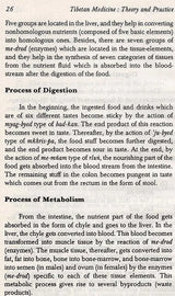 Tibetan Medicine: Theory and Practice - Retail Maharaj