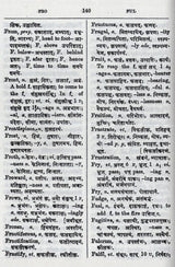 The Concise English-Sanskrit Dictionary - Retail Maharaj