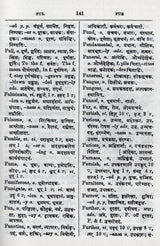 The Concise English-Sanskrit Dictionary - Retail Maharaj
