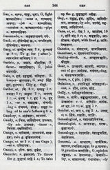 The Concise English-Sanskrit Dictionary - Retail Maharaj