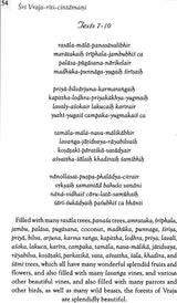 Sri Vraja-Riti-Cintamani (Srila Visvanatha Cakravarti Thakura) - Retail Maharaj