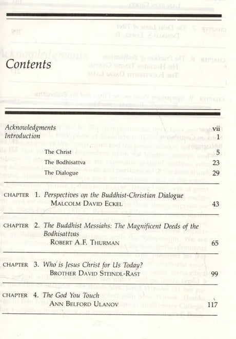 The Christ and the Bodhisattva - Retail Maharaj