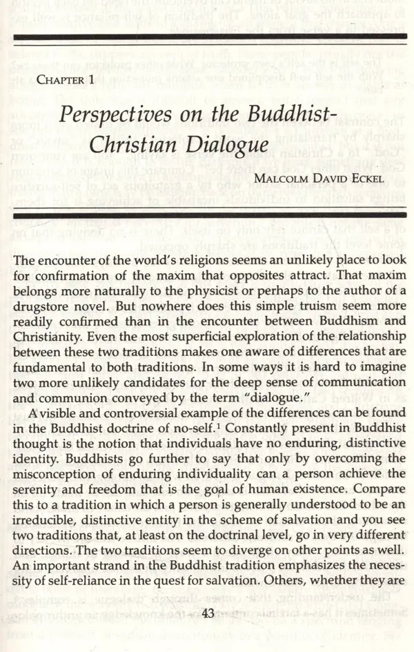 The Christ and the Bodhisattva - Retail Maharaj